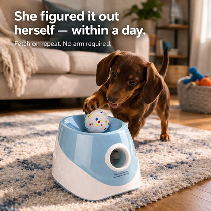 The automatic ball launcher that teaches your dog to play fetch - all by themselves.