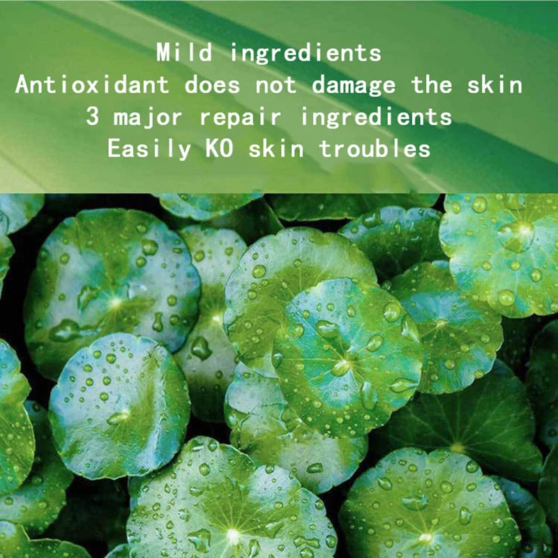 Centella Collagen Schlafmaske – Tiefenwirksame Feuchtigkeits- und Anti-Aging-Behandlung über Nacht