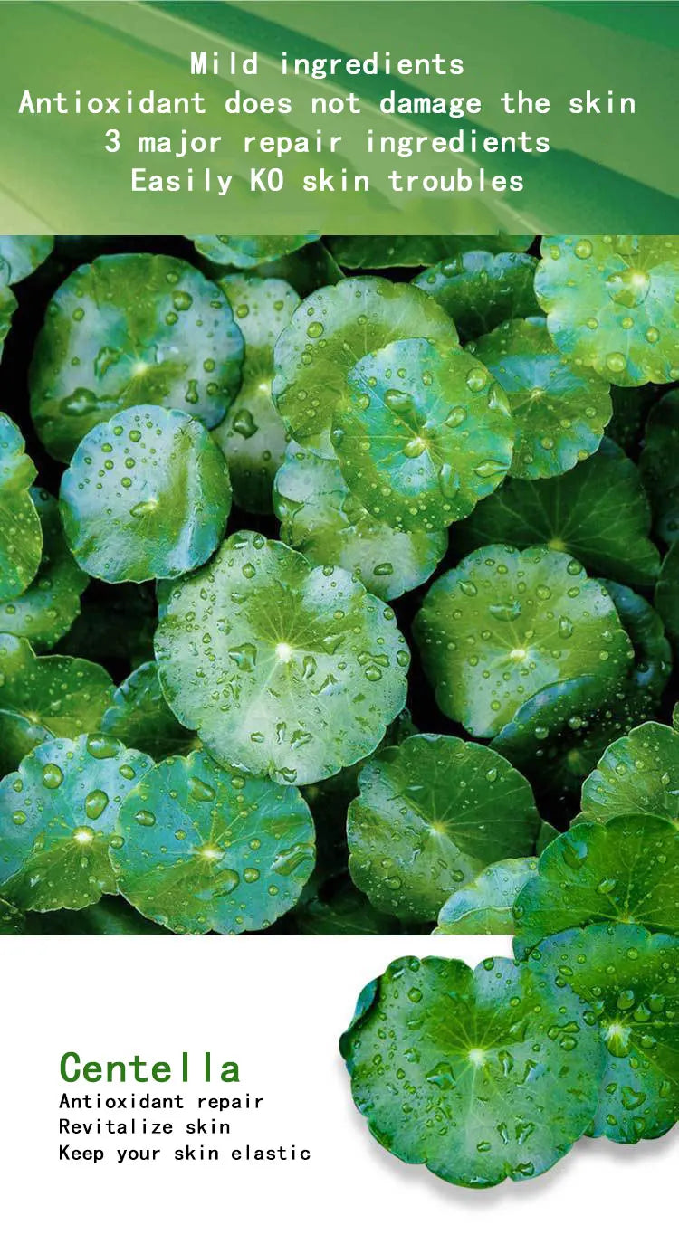 Centella Collagen Schlafmaske – Tiefenwirksame Feuchtigkeits- und Anti-Aging-Behandlung über Nacht