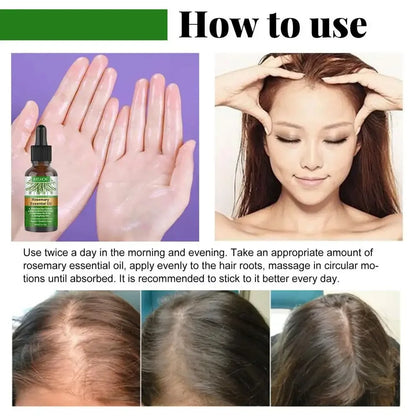 Ätherisches Rosmarinöl für Haarwachstum – Stärken und nähren Sie Ihr Haar auf natürliche Weise